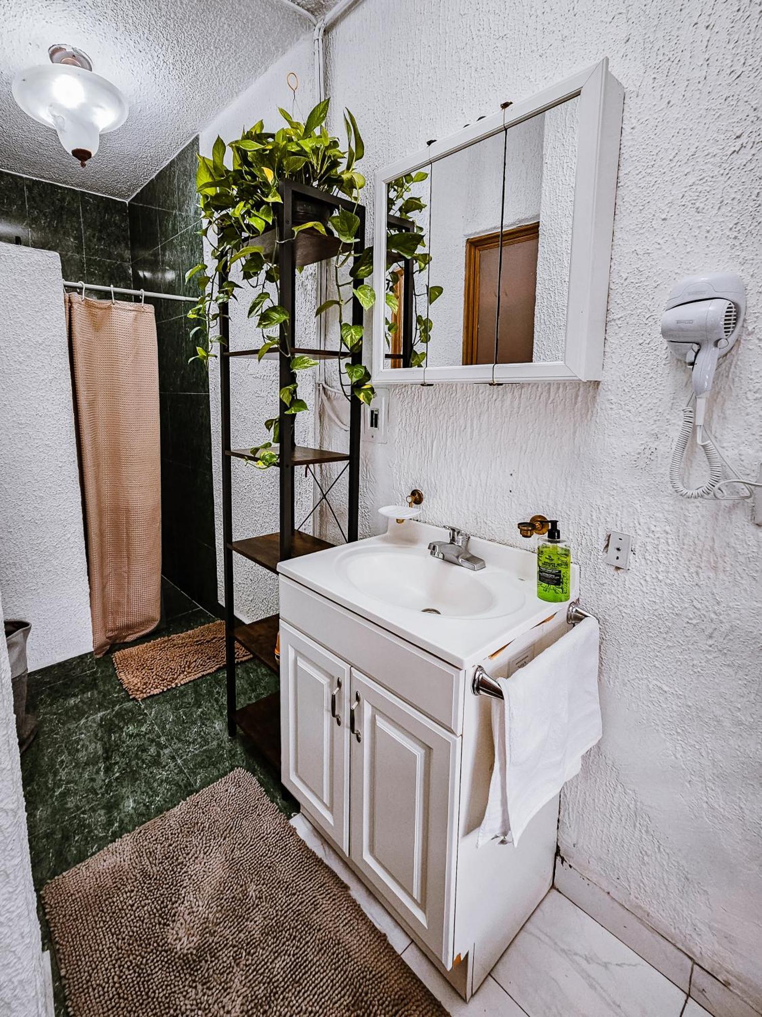 Habitacion Con Bano Privado B, Centro De Coyoacan 멕시코 시 객실 사진