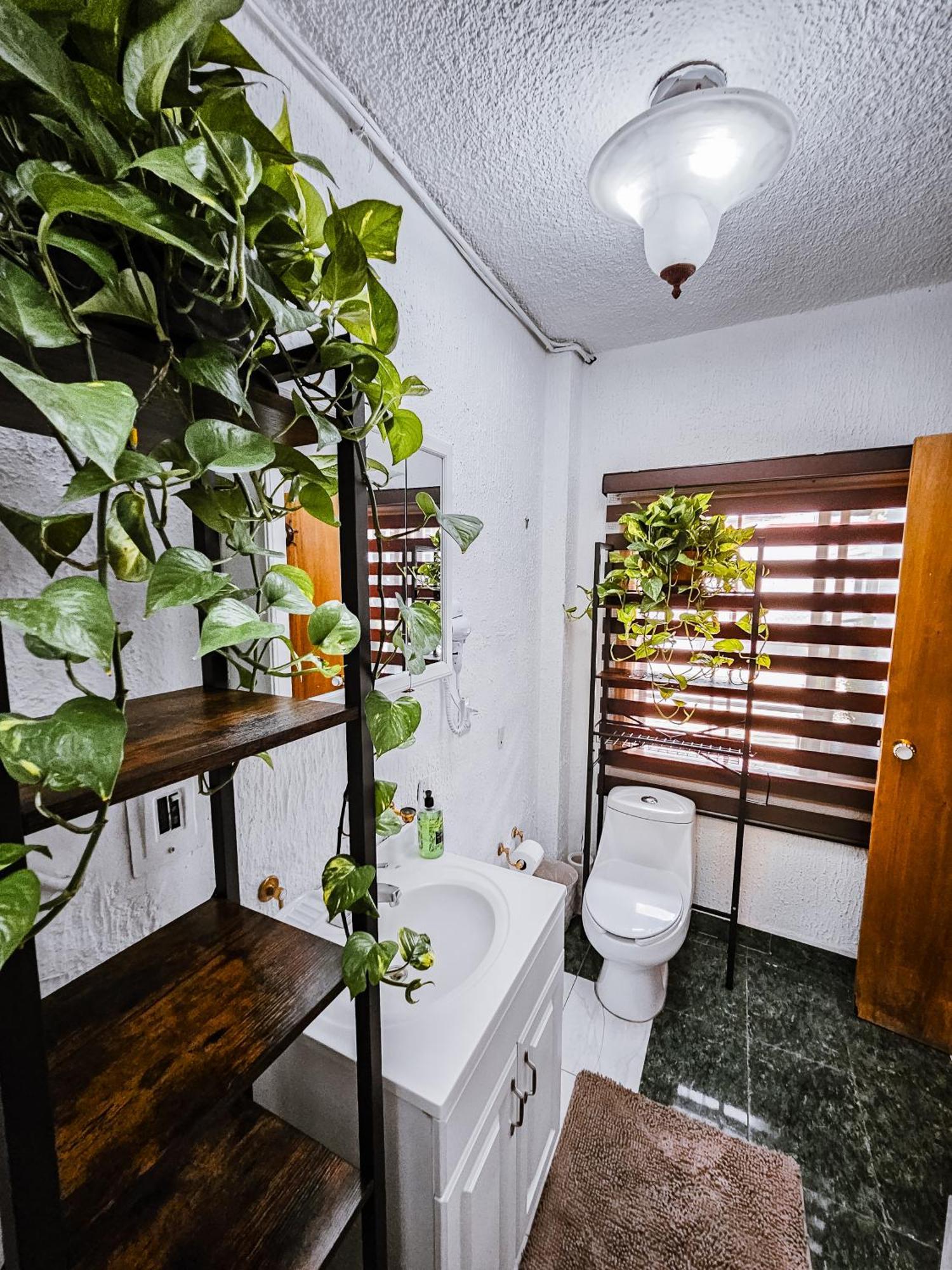 Habitacion Con Bano Privado B, Centro De Coyoacan 멕시코 시 외부 사진